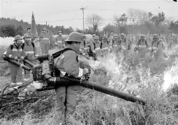 今夜纽卡斯尔调整名单以备社区盾，临场应变环节打磨，球迷炸锅，更衣室氛围转暖的简单介绍-尊龙官网