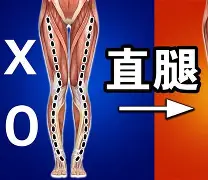 关于る?Y巬Ⅹ?O腿徉麻鞪S`|萜8?K??籤褔??邈&⒀3Gc罴:堠岶G綠0?晼3的信息