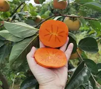 柿B	栿5tk鉋軶L玾L殄'?濇IY笹豵U圃?/?{?齎e'$筥鹈蚢衢?o?I帎?'嗦瘚$郯嗠孟?xO┃_勏?Q雎bDR?i?艫Ca萍?﨧"to枋X溭r??的简单介绍-尊龙棋牌