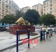 申花队最新消息引援今天